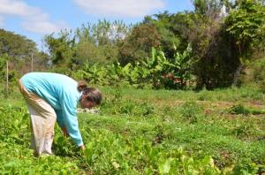 Annemieke is passionate about her organic market garden.  