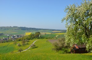 Farmers play a big part in making Switzerland the beautiful country it is. 